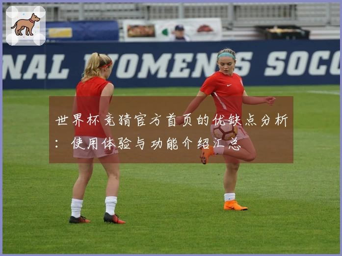 世界杯竞猜官方首页的优缺点分析：使用体验与功能介绍汇总