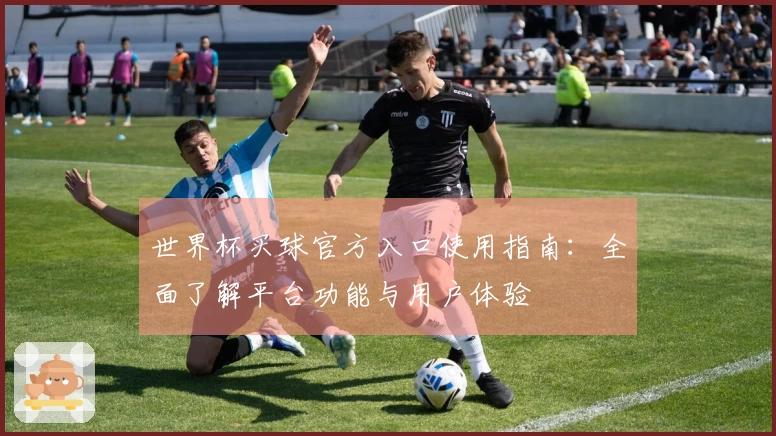 世界杯买球官方入口使用指南：全面了解平台功能与用户体验