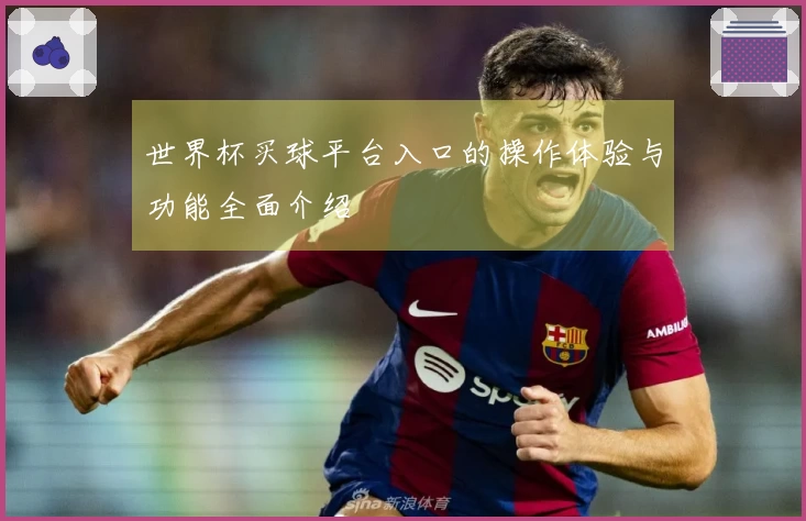 世界杯买球平台入口的操作体验与功能全面介绍