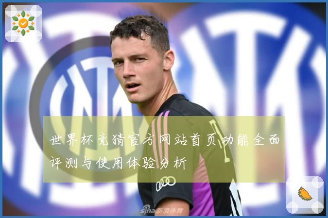 世界杯竞猜官方网站首页功能全面评测与使用体验分析