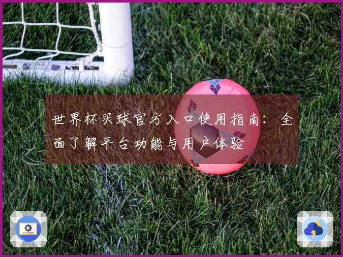 世界杯买球官方入口使用指南：全面了解平台功能与用户体验