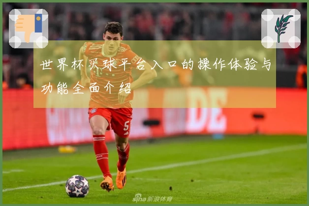 世界杯买球平台入口的操作体验与功能全面介绍