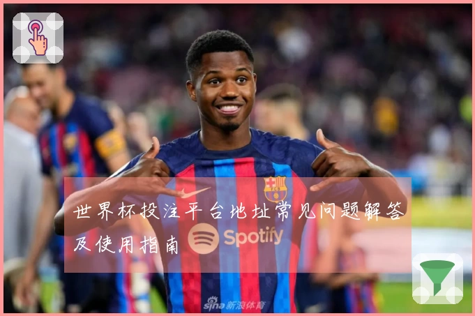 世界杯投注平台地址常见问题解答及使用指南